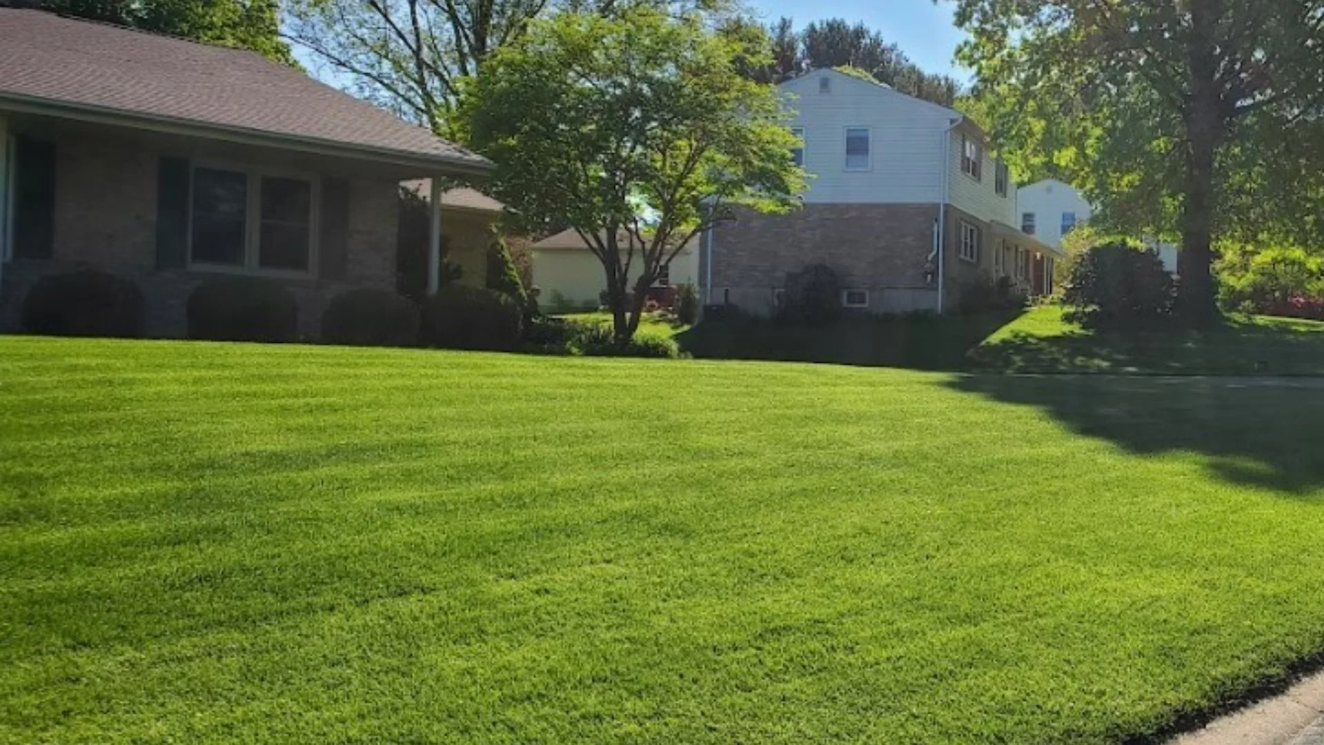 Fall Aeration: The Key to a Stronger, Healthier Lawn