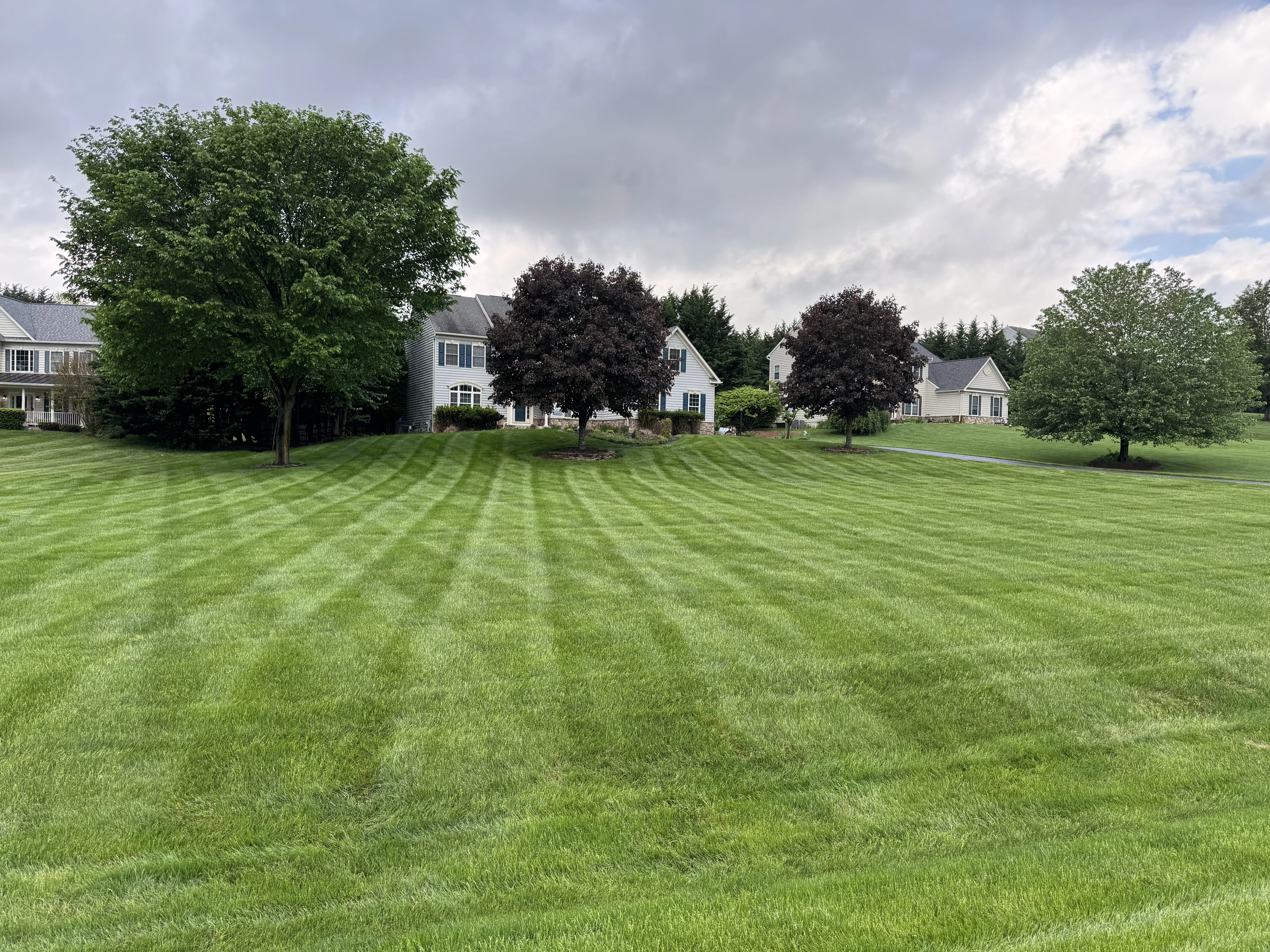 Large residential property in Westminster, MD with a beautiful green lawn.