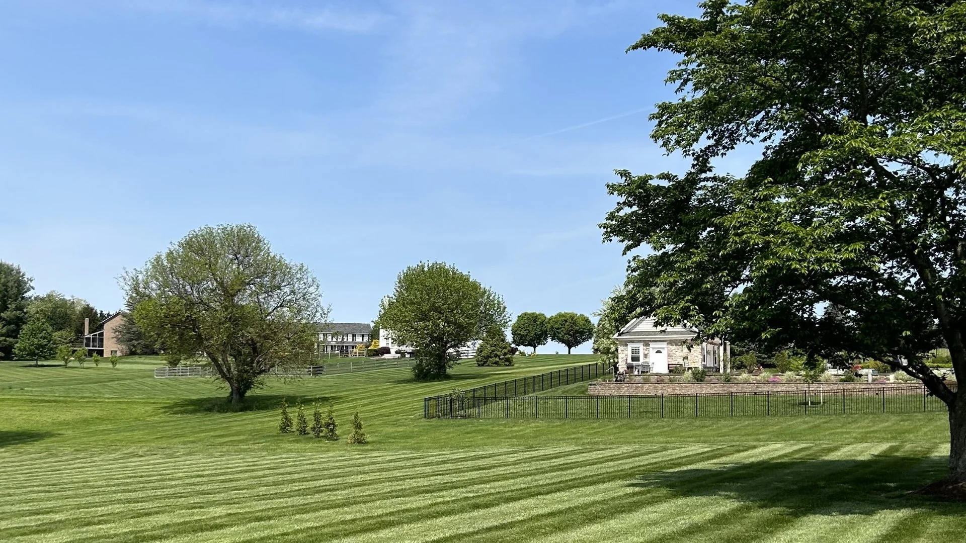 Green grass and trees at a Glenelg, MD home.