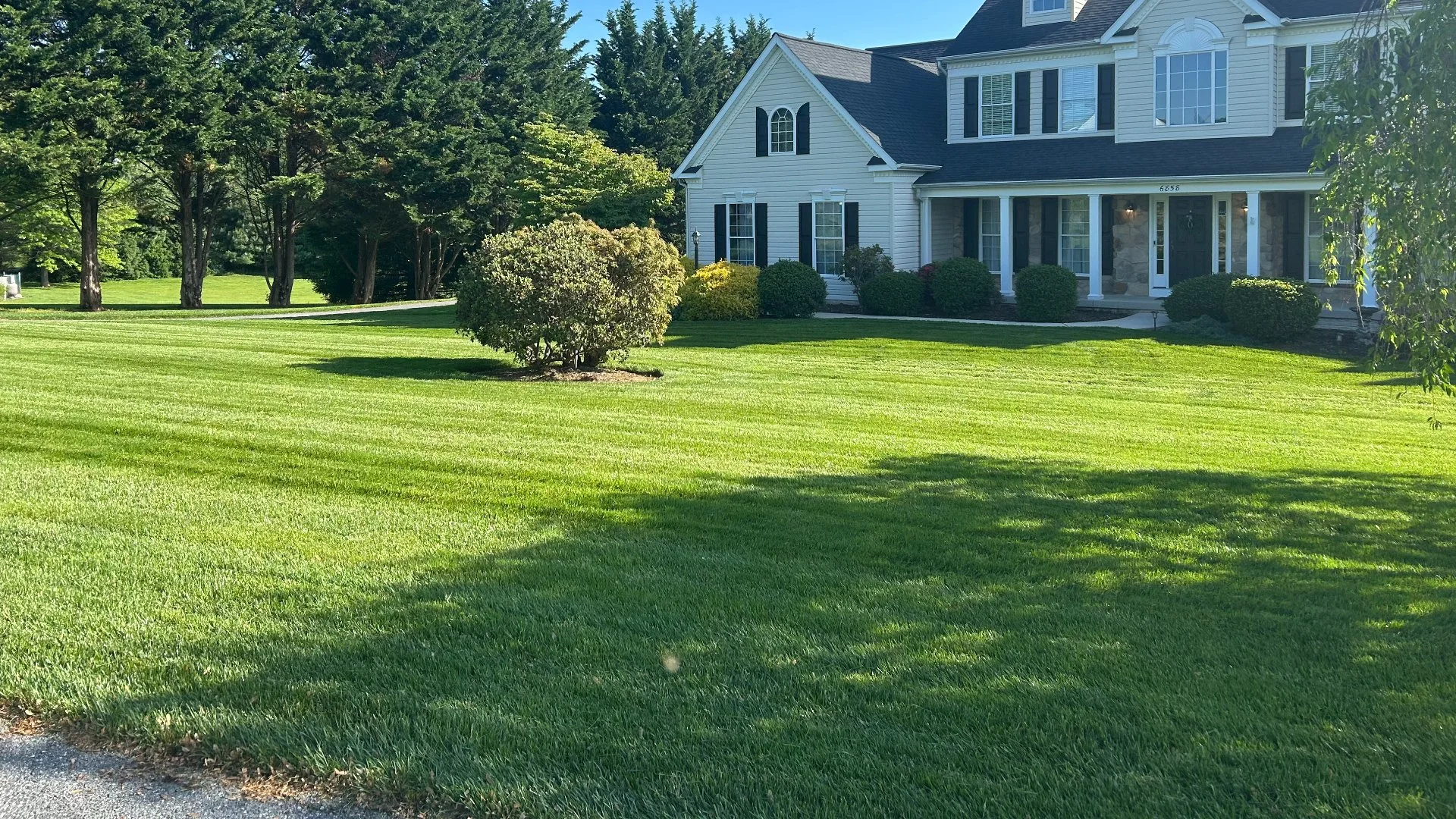 Should You Fertilize Your Lawn After Overseeding?