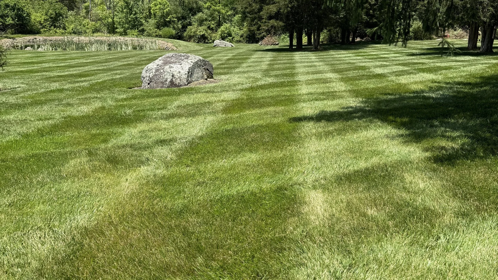 Is It Really Necessary to Fertilize Your Lawn in the Spring?