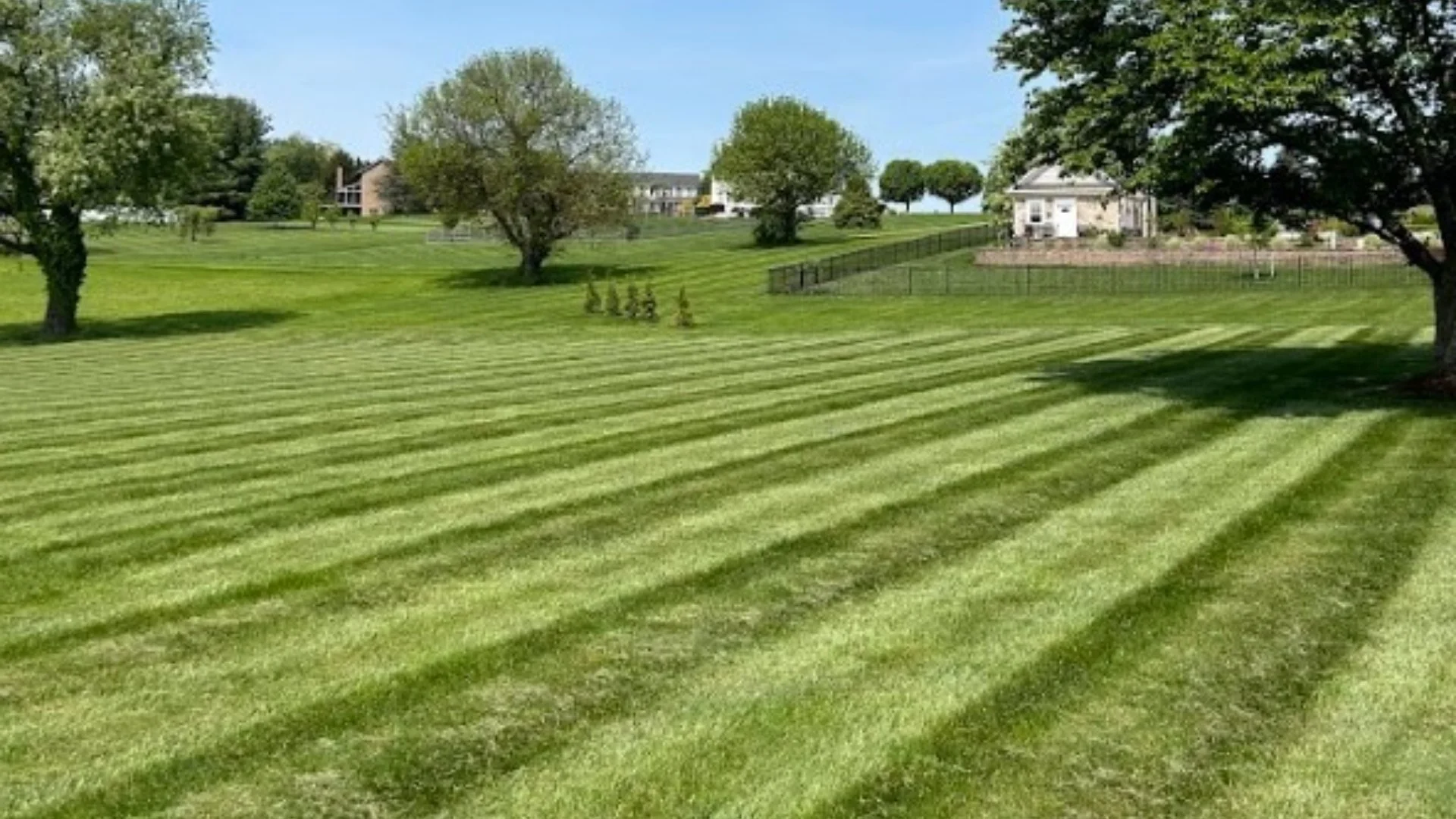 Pre-Emergent Weed Control Is an Essential Part of Spring Lawn Care!