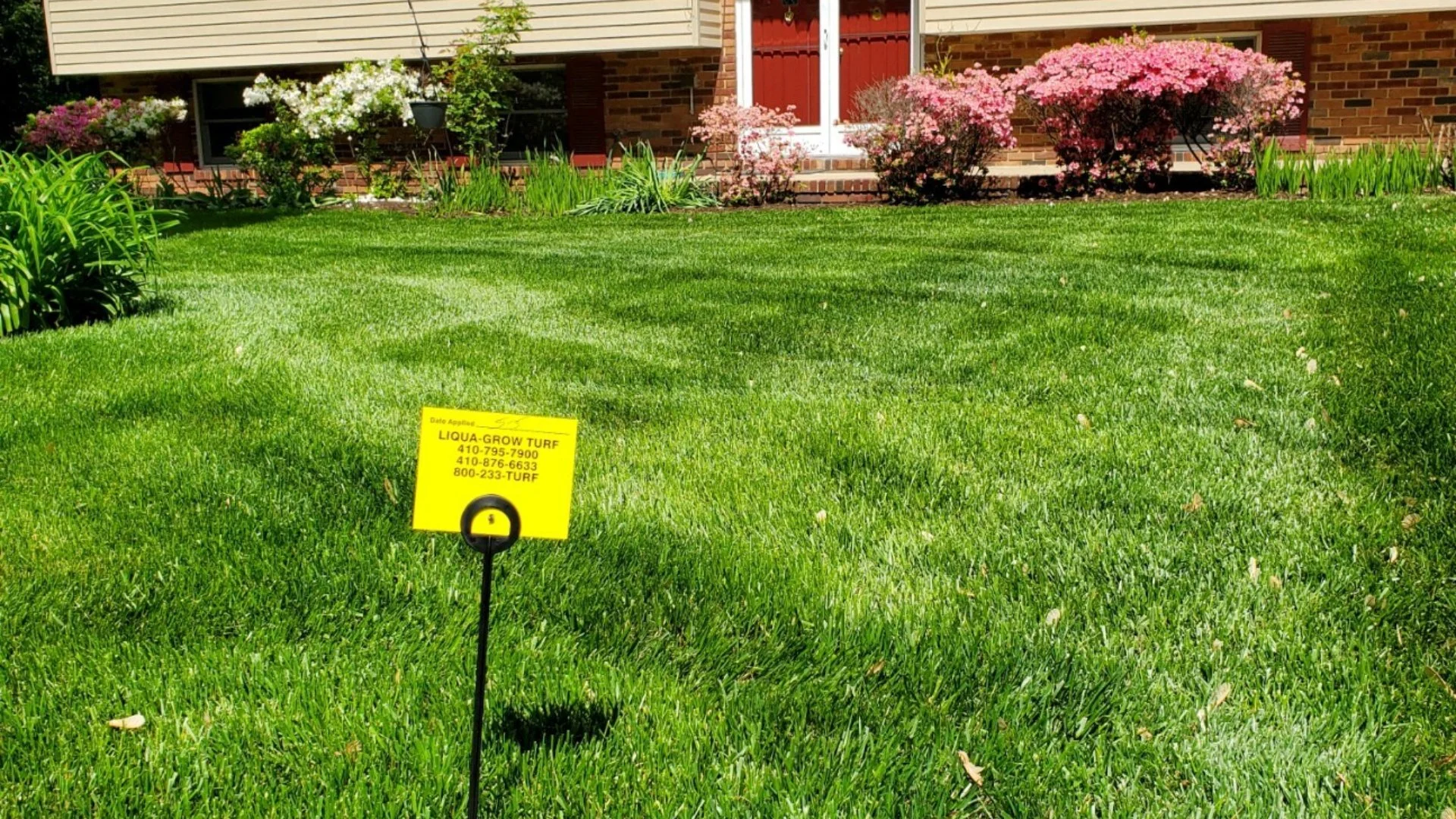 Aeration Methods & Which Is Better - Liquid vs Core