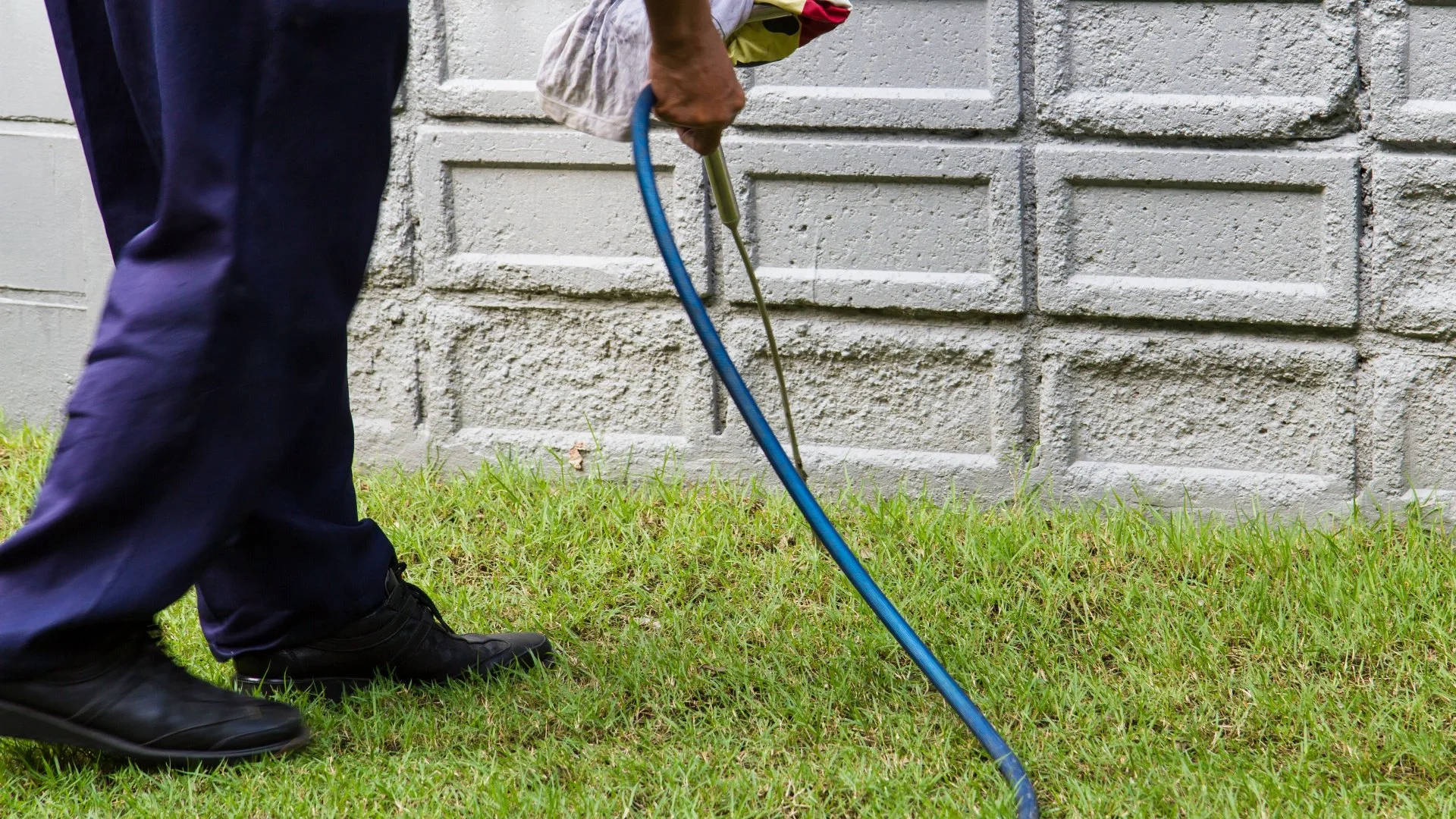 Are Perimeter Pest Control Treatments a Good Investment?
