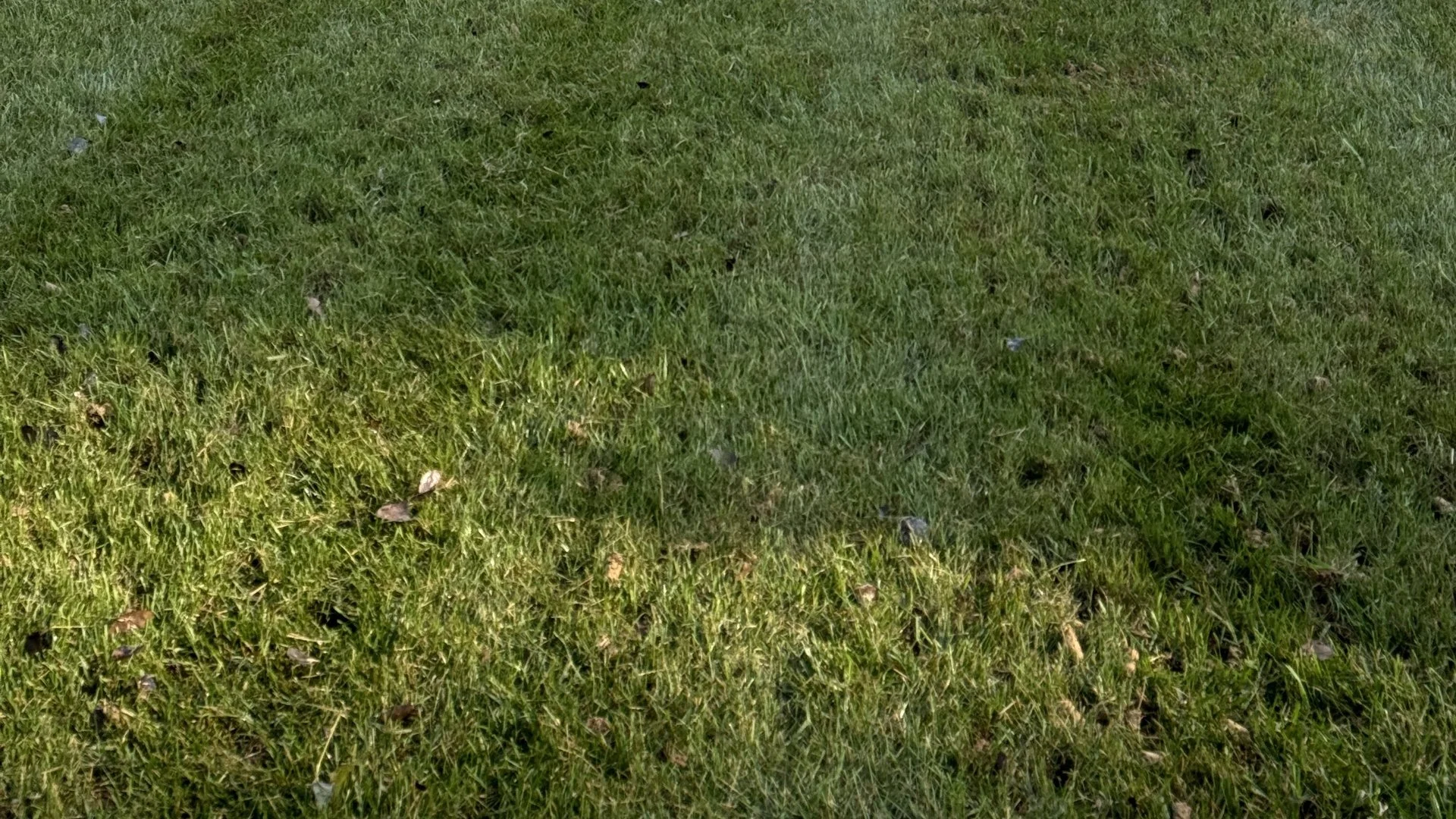 Core Aeration Is an Important Part of Fall Lawn Care