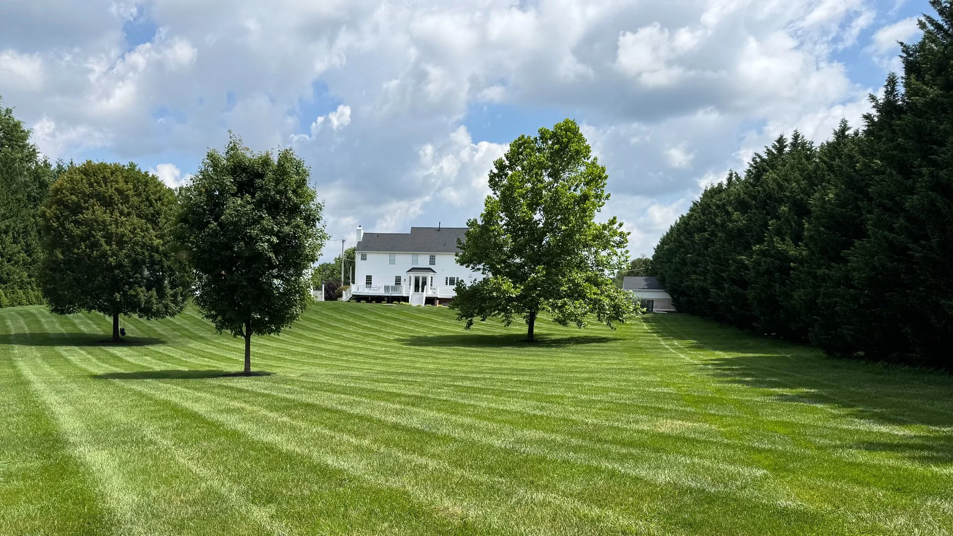 Prevent Diseases From Harming Your Lawn With These Tips!