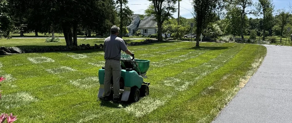Man spreading granular fertilizer on a lawn in Westminster, MD.