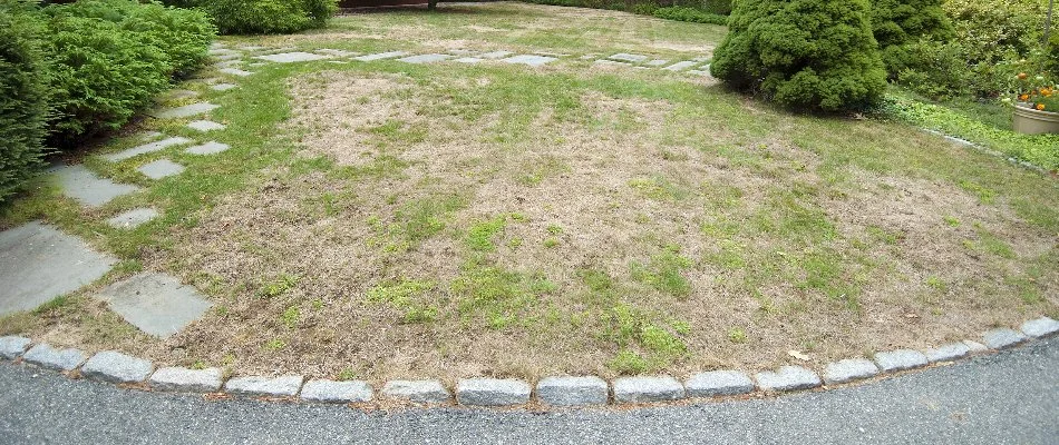 Patchy, thinning lawn in Westminster, MD, with steps and shrubs.