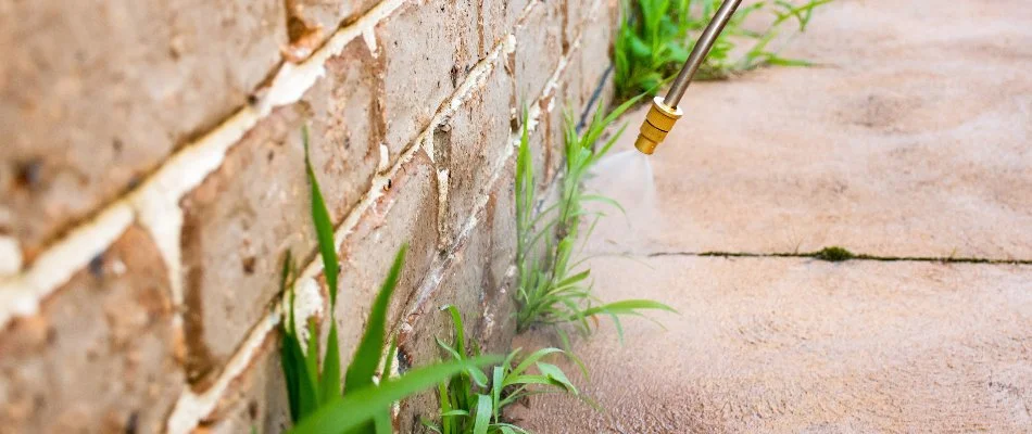 Spraying pest control treatment on the exterior wall of a house in Westminster, MD.