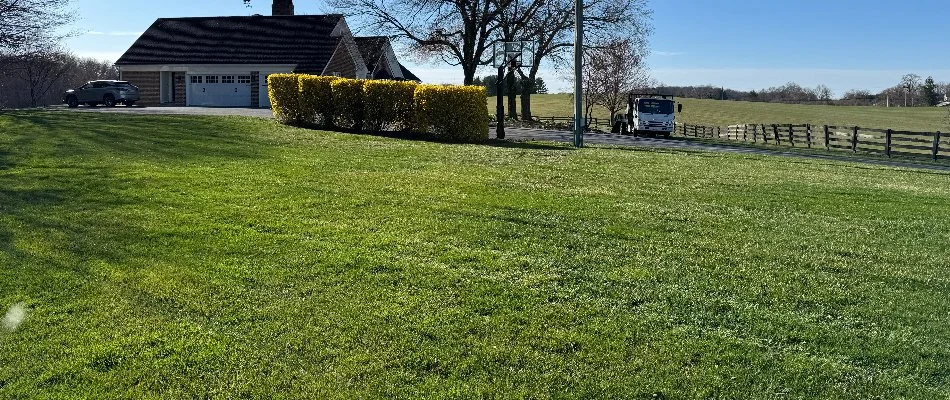 Dense green lawn with shrubs in Crofton, MD.