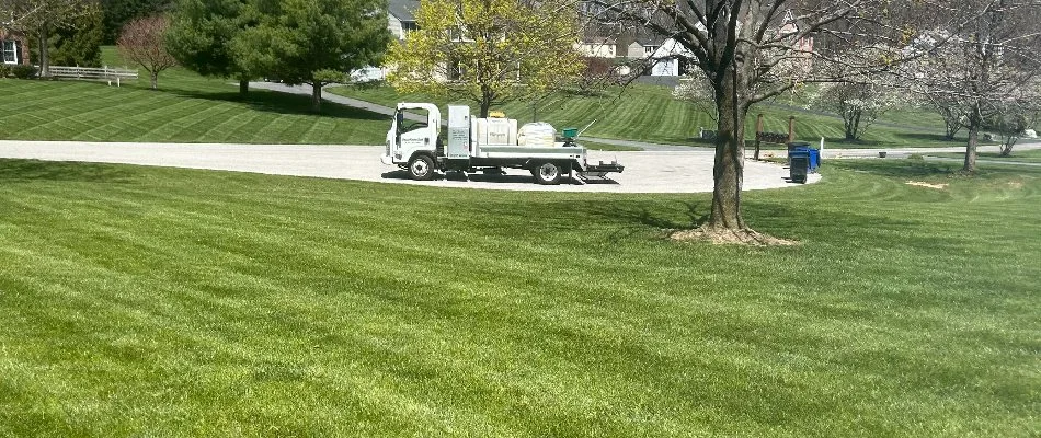 Healthy green lawn in Finksburg, MD.