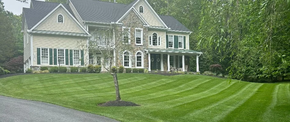 House, trees, and a green lawn in North Laurel, MD.