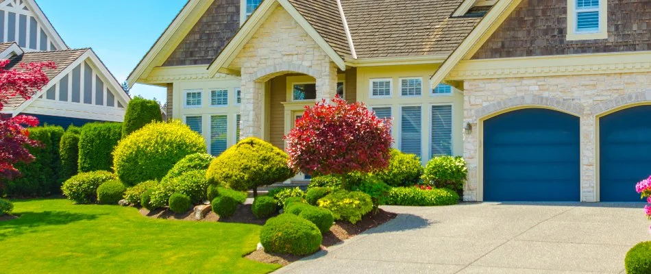 Front yard of a house in Damascus, MD, with healthy green plants.
