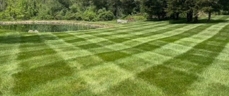 Lawn with mowing stripes in Towson, MD.