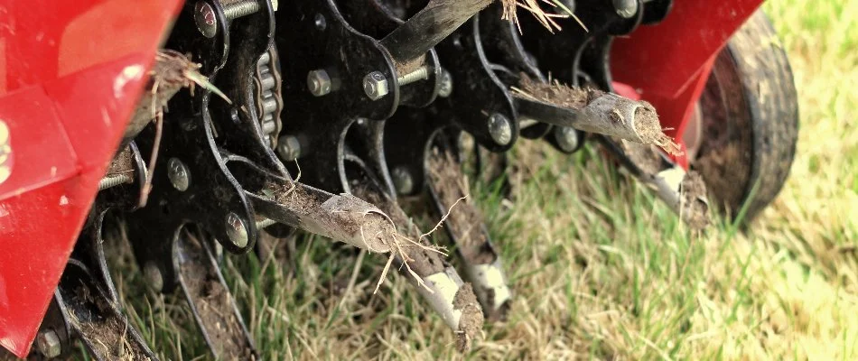 Aerator machine pulling up plugs of soil. 