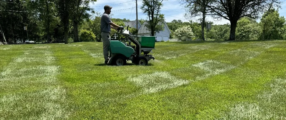 Tech treating a lawn in Westminster, MD, with thick grass.