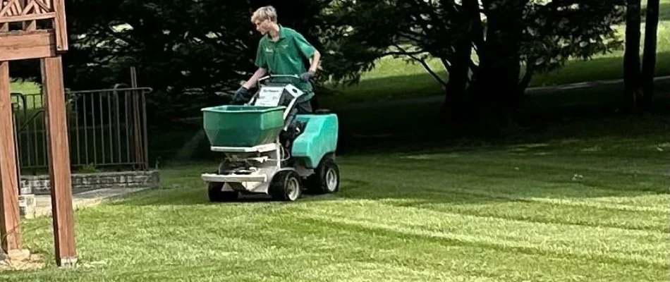 Worker spraying a lawn in Westminster, MD, for weeds.