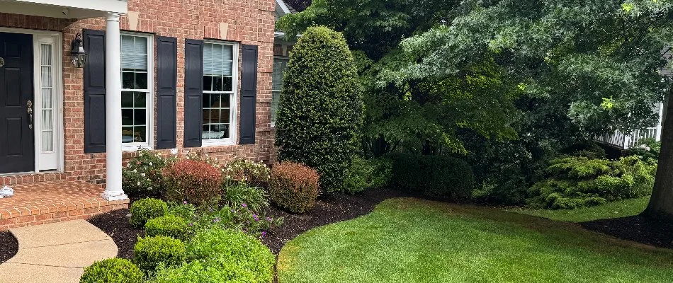 Yard in Westminster, MD, with trees and shrubs.